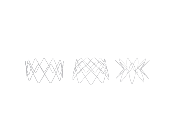 Biodegradable Sinus Drug Stent System